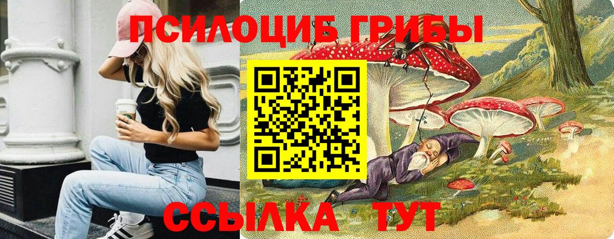 Похвистнево  Псилоцибиновые грибы Magic Shrooms  Вход с VPN  Псилоцибиновые грибы мицелий 